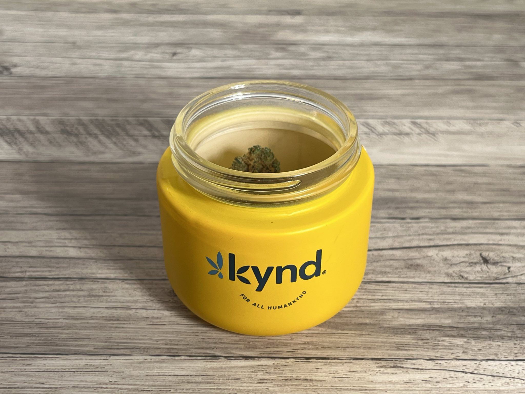 Amendment 3 in Florida: What You Need to Know